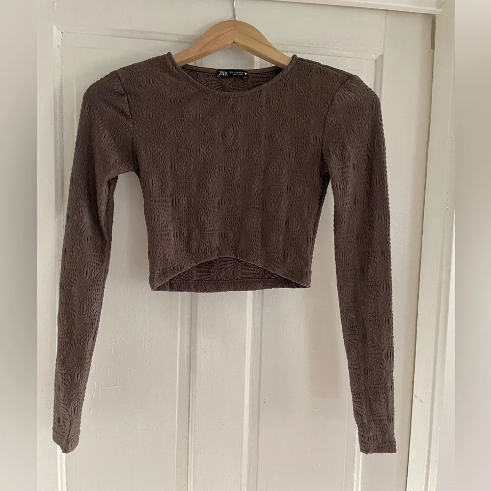 Zara Textured‎ Pointelle Brown Long Sleeve Cropped Top